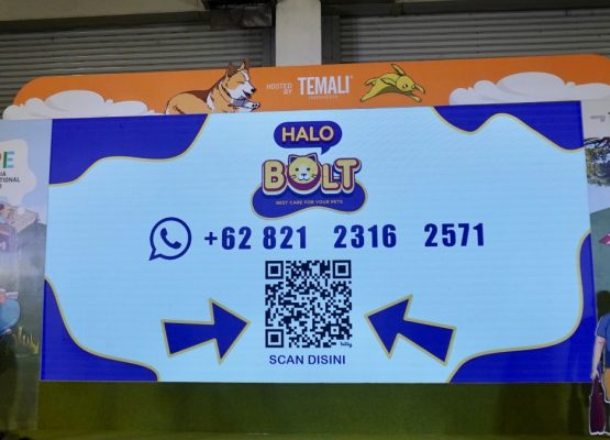 Perkuat Hubungan dengan Pemilik Hewan Peliharaan, BOLT Resmi Luncurkan Layanan CRM Interaktif “HaloBOLT”