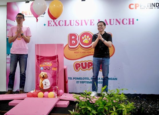 BOLT Luncurkan Produk Baru “BOLT Dog Puppy” untuk Mendukung Pertumbuhan Optimal Anak Anjing